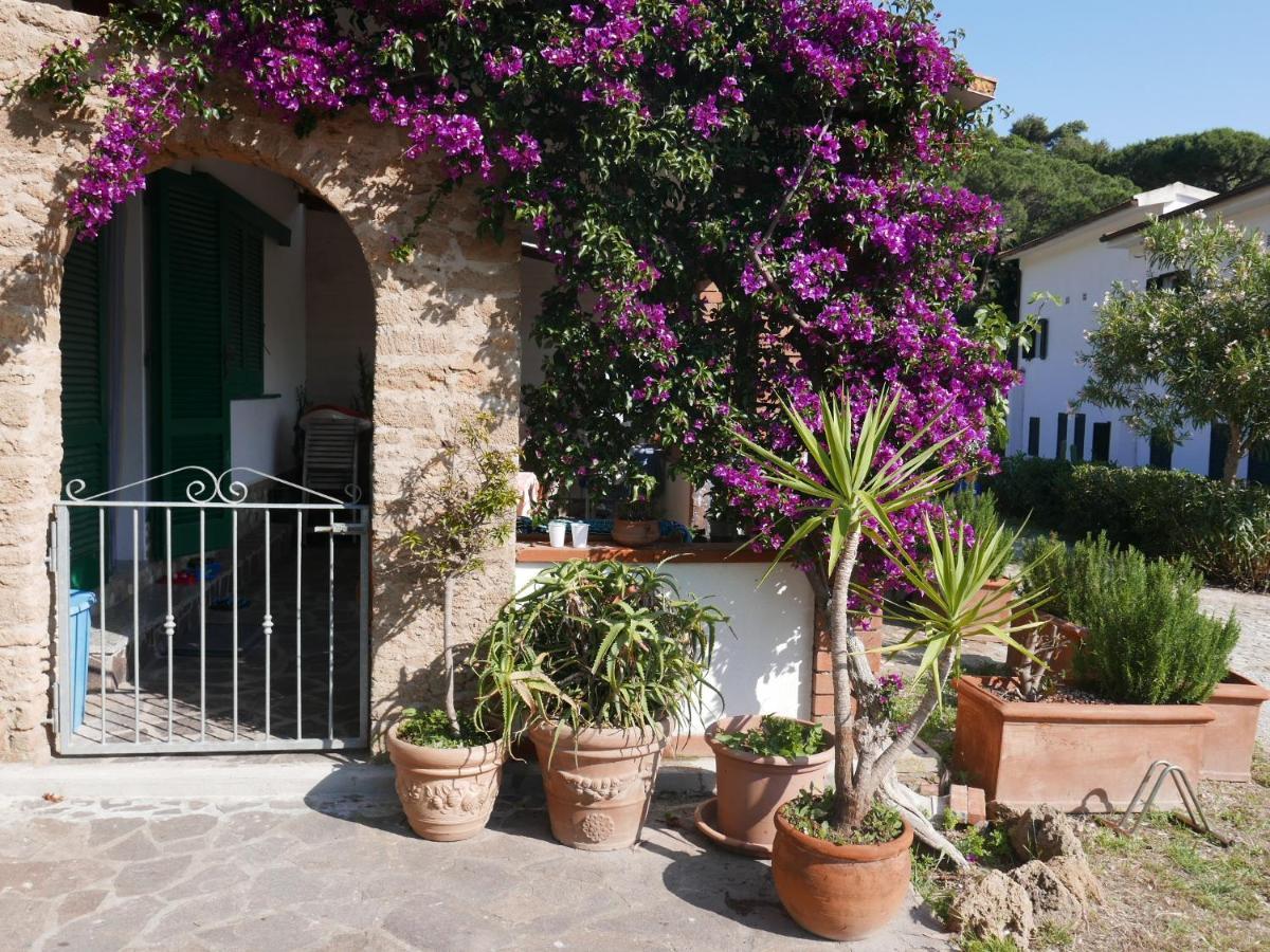 Residence Augusto Capoliveri  Exterior photo