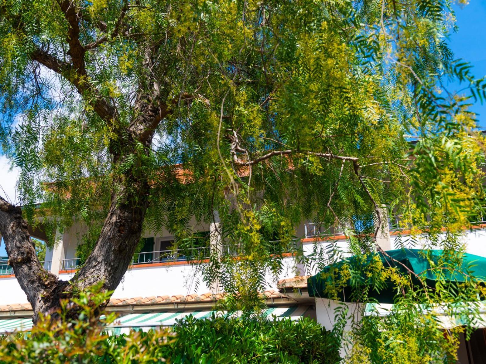 Residence Augusto Capoliveri  Exterior photo
