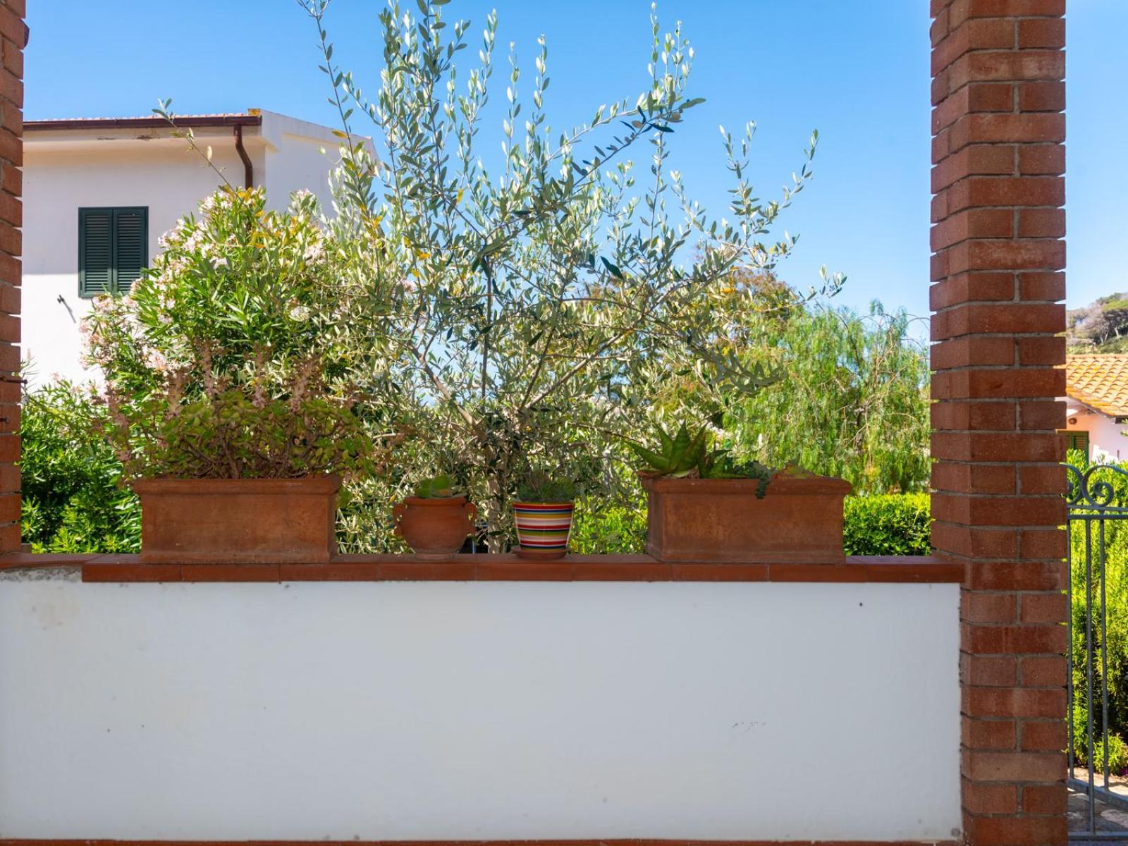 Residence Augusto Capoliveri  Exterior photo